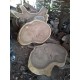 Suar Round Slabs