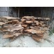 Suar Round Slabs