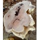 Suar Round Slabs