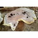 Suar Round Slabs