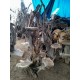 Wood Root Shelving Unit
