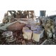 Suar Log Stools