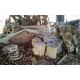 Suar Log Stools