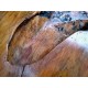 Natural Suar Wood Console Furniture