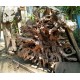 Raw Root Wood