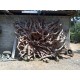 Raw Root Wood