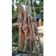 Raw Root Wood Raw Root Wood
