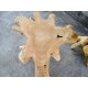 Teak Root Coffee Tables Teak Root Coffee Tables