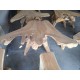 Teak Root Coffee Tables Teak Root Coffee Tables