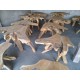 Teak Root Coffee Tables Teak Root Coffee Tables