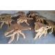 Teak Root Coffee Tables Teak Root Coffee Tables