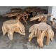 Teak Root Coffee Tables Teak Root Coffee Tables