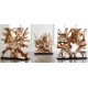 Natural Wood Sculptures Natural Wood Sculptures