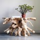 Natural Tree Root Console Furniture Natural Tree Root Console Furniture