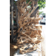 Raw Root Wood Raw Root Wood