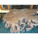 Tree Tables