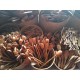 Treen & Tableware
