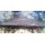 Wulit Roof 