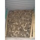 Pring Apus/Tali - String Bamboo Pring Apus/Tali - String Bamboo