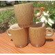 Bamboo Cups Bamboo Cups