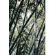 Sourcing Request Sourcing Request