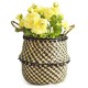 Woven Belly Basket Or Bag Woven Belly Basket Or Bag