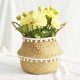 Woven Belly Basket Or Bag Woven Belly Basket Or Bag