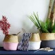 Woven Belly Basket Or Bag Woven Belly Basket Or Bag